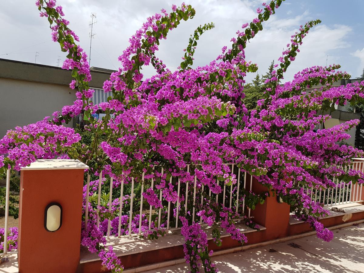 Dimora D'Amato Bed & Breakfast Grumo Appula Exterior photo